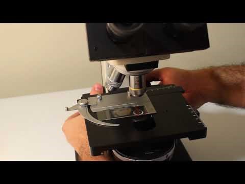 µBrews Episode 3 – Focusing & Changing Lenses on a Microscope