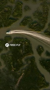 4.3K views | FREE FLY x PARKIT: Our new Free Fly x @parkitmovement...