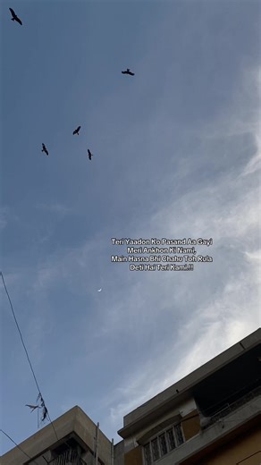 Emotional Poetry About Memories and Longing