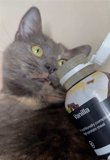 stormi ⛈ on TikTok