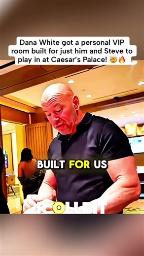 Dana White Has His Own Personal VIP Room! #danawhite #stevewilldoit