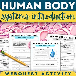 Human Body Systems Webquest Activity | Body Systems Interaction Organs Tissues