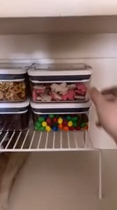 The before and after pantry makeover you need to see