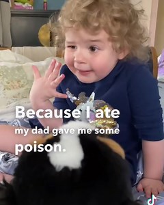 402K views · 4.3K reactions | Once about two years ago Abby was sick with a cold and had a fever.Her daddy gave her chewable Tylenol to get her temp down, and from that day forward she told everybody her daddy tried to give her poisonous candy this video is from about a year and a half ago☺️ #littleabby #toddlersofinstagram #dadsofinstagram #fyp #babyofthefamily #alongcameabby | alongcameabby | Facebook