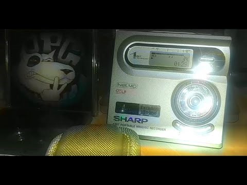 DPG Minidisc Play