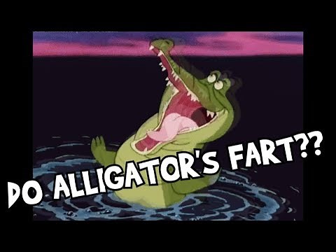 DO ALLIGATORS FART?? (Animation)