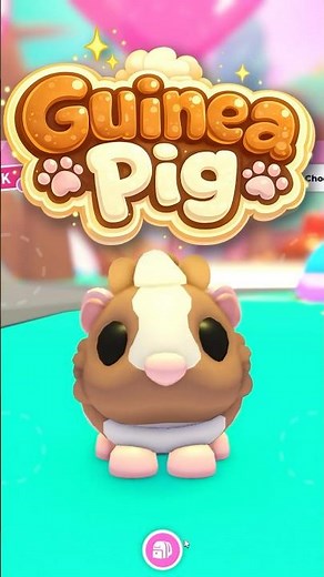 How to Get ALL 3 NEW Guinea Pig Pets! 🐹 in Adopt Me! | Sugarfest