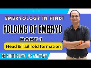Folding of embryo | Head fold and Tail fold | Cephalo-caudal folding