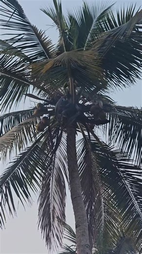 Ecstatic dance is a form of free-form movement where dancers abandon themselves to the rhythm. There is no choreography and often no talking, creating a meditative or trance-like state. | Physicalcyberspace LLC