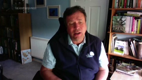 Ancient oak tree cut down in north London on health and safety grounds