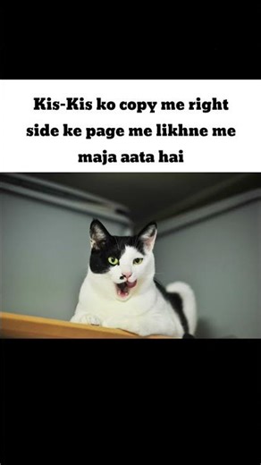 copy #catfunny #funnycatmemes #shorts #viralshort