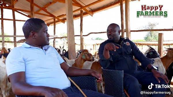 A Day in the Life of a UK Farmer