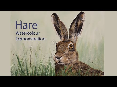 How to paint a Hare, Watercolour painting demonstration
