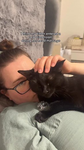 6K views · 1.9K reactions | new boo sound = activated ✅ #catsofinstagram #catscatscats #catsofig #catstagram #catsagram #cats_of_instagram #cats_of_world #catsdaily #blackcat #blackcatsofinsta #blackcatsofig #blackkitten #blackcatlove #blackcatlover #kitty #purr #purringcat #sleepycat #sleepykitty #kittengram #kittenlove #kittenlover #cutekitten | Arty, Midnight and Boo | Facebook