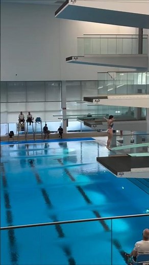 Springboard Diving Perfect Your Form Step by Step