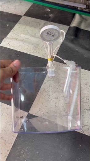 #movie #dance #bollywood #love #varisu #pets #fishbowl #rapido #hamster #fishtank