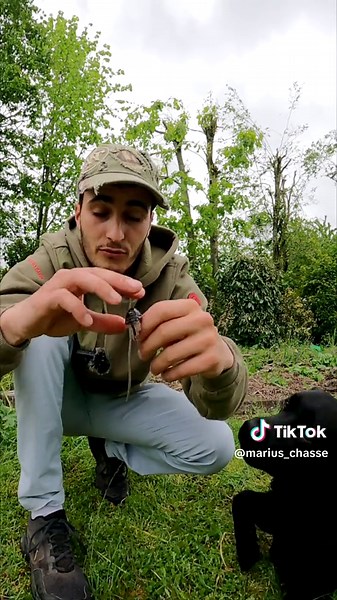 Cuisiner et Manger des Écrevisses 🦞 🍽️ #peche #cuisine #pecheur #chien #pourtoi #fyp #cooking #fishing