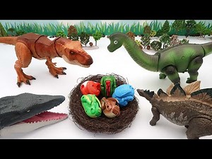 Who's Dinosaur Eggs? Transformer 3D Dino Eggs - T-Rex, Stegosaurus, Brachiosaurus Bone Fossil