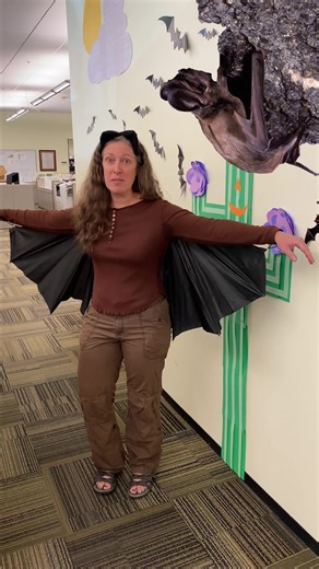AZGFD biologist Tiffany Sprague is back with another bat - the greater Mastiff bat! We think this bat is particularly cute! #BatWeek #BatMonth #skypuppy #lovebats | Arizona Game & Fish Department