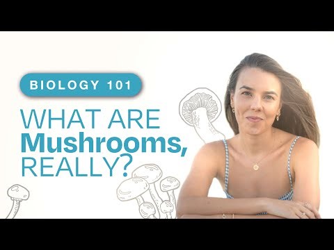 Are Mushrooms Plants? Mycelium, Truffles & Fungi Biology Explained | Magic Mushroom Basics