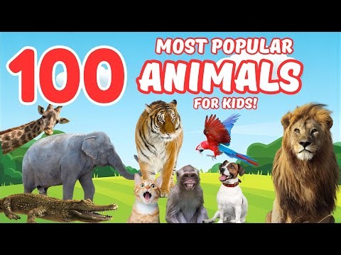 100 Amazing Animals 🌟 Learn Names for Kids & Toddlers