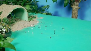 Watch Makeblock mBot Ultimate 10 in 1 Robot Building Kit on Amazon Live