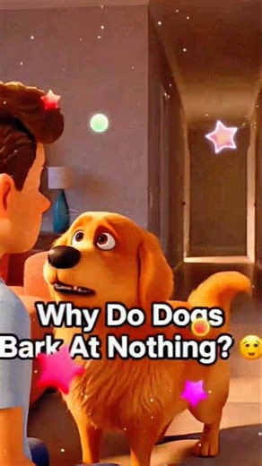 Why Dogs Bark At Nothing