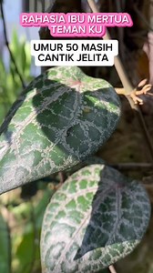 1.9M views · 8.5K reactions | Ini rahasianya. #cantik #glowing #tips #herbalife #tipsandtricks #kecantikan #lifehacks #tutorial | Cerita Yanti | Facebook