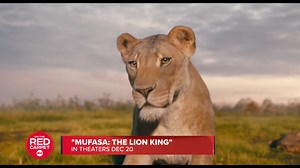 47K views · 2.2K reactions | 女Come join the pride as the stars of "Mufasa: The Lion King" talk about this new chapter in the iconic franchise, which roars into theaters December 20. #TheLionKing #LionKing #TLK #Mufasa #Disney #MufasaTheLionKing #OnTheRedCarpet #ABC | The Lion Guard | Facebook