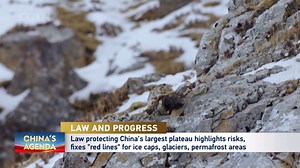 Chinese lawmakers adopted a law on ecological conservation on the Qinghai-Tibet Plateau last April, which is seen as addition to laws for ecological conservation of special regions. The Standing Committee of the National People’s Congress said that conditions of the plateau’s ecosystem have a direct impact on biodiversity, water supply, climate stability and the balance between carbon emissions and absorption in the country. CGTN's Zhou Jiaxin has more. #chinaagenda2024 #agendainaction2024 #Xiza