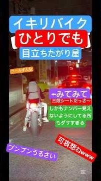 ブンブンうるさいバイクさん 暴走族？ イキリバイク？ #暴走族撲滅 #イキリバイク #吹かすな #交通安全 #バイカス