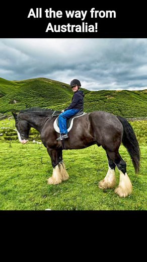 A lovely family who own Heavy Horses in Australia rode with us today as part of their holiday!! Had to share this! 🥰❤️ Children are very welcome to ride our big horses, we assess all our riders whatever age and perceived ability, and assess as we ride around the farm, with tuition and support considered the norm! These two youngsters lo Ed their horses, as we enjoyed taking them out! We're Insured from 5 years old but must add, if you have young children who have never seen such large horses be