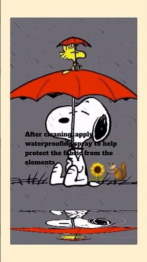 How to clean your umbrella