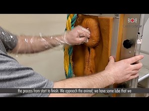 Navigate Your Dairy features A I techniques