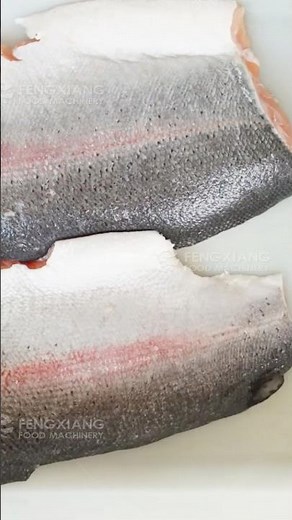 Salmon Skinning Machine | Efficient Fish Skin Removing #peelingmachine #seafood #machine