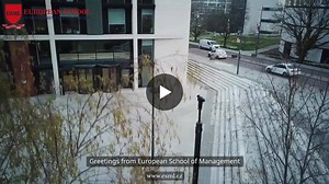 DBA vs. Executive MBA: Which One Boosts Your Career? | European School of Management and Leadership posted on the topic | LinkedIn