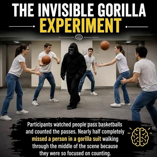 🧠 5 Psychology Experiments That Changed How We Understand Humans