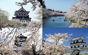 樱花 白石城、横手城、弘前城 Japanese Castles -Shiroishi,Yokote & Hirosaki Castle.