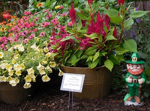 Marion County Demonstration Garden