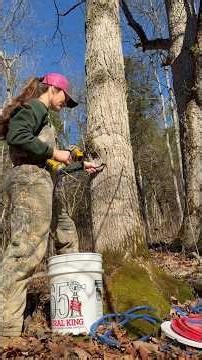 Maple Tapping 101: How to tap trees for beginners! #mapletapping #homesteading #ruralking #diy