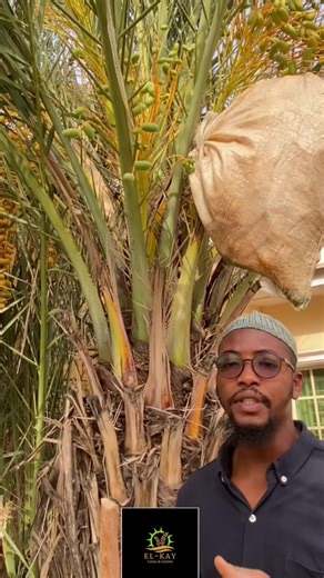 Discover the Benefits of Dating a Farmer