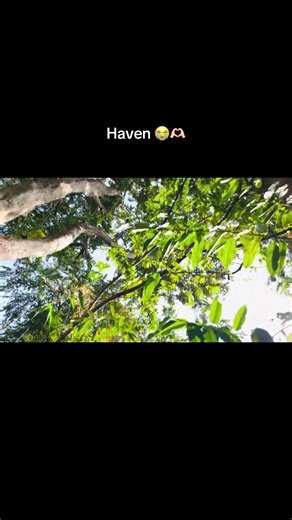 Emotional View on TikTok: A Heartfelt Reaction