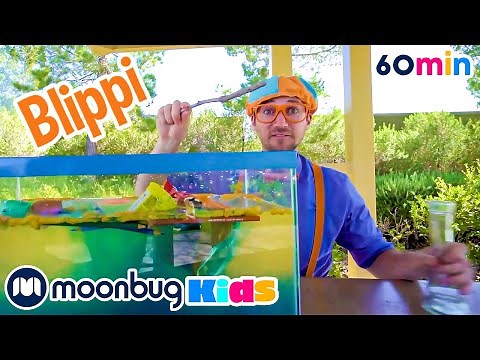 Sink or Float? V3 | Moonbug Kids TV Shows - Full Episodes | Cartoons For Kids