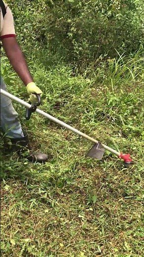 Satisfying Lawn Cleaning | How to Use Brush Cutter Properly