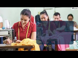 Introduction Chapter Explained Video Lecture | Economics Class 11 - Commerce