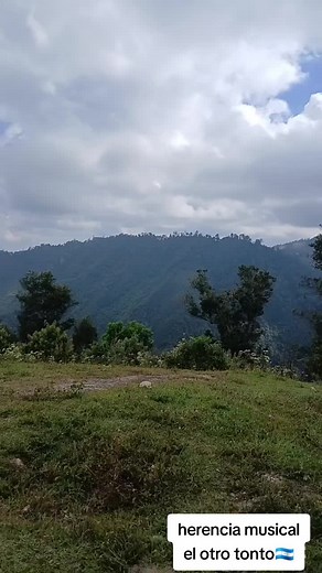 herencia musical on TikTok