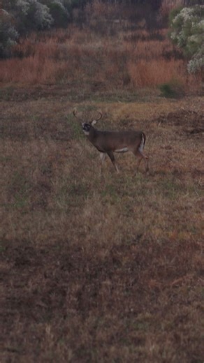 50K views · 1K reactions | A Mississippi Sendero 歷 | Small Town Hunting | Facebook