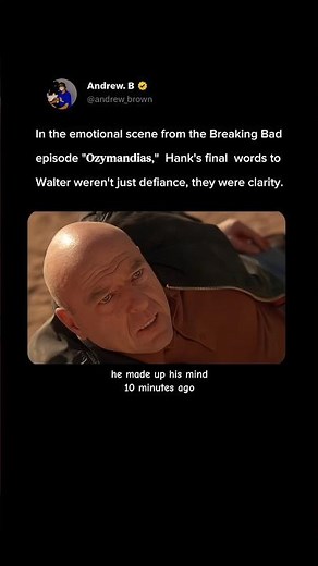 the emotional scene from the Breaking Bad episode "Ozymandias"