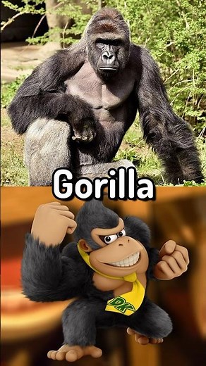 All of Donkey Kong’s Costume References in Smash Ultimate