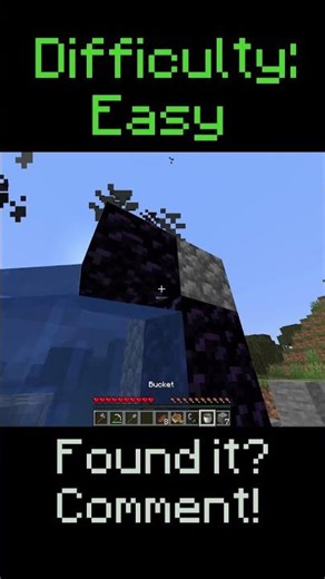 Find The Anomaly #2 (Guess What's Wrong With This Minecraft Video)